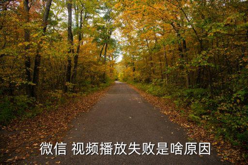 dj微信惹得禍視頻,微信文件若無(wú)法播放可關(guān)閉我...